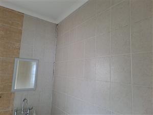 Randburg painters 