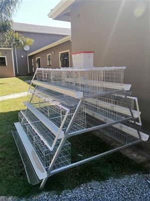 CHICKEN CAGES