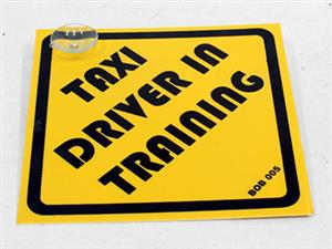 Novelty Window Suction Board (13x13cm)