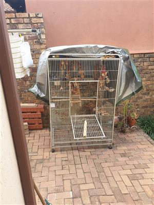 Silver parrot cage