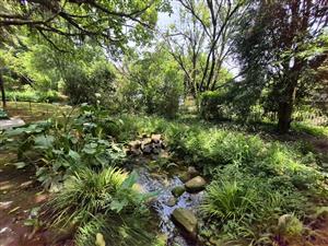 Sanctuary in Mount Michael