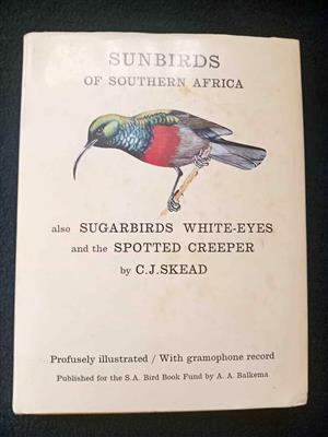 Sunbird of southern Africa