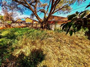 Spacious 3 bed freestanding house for sale in Wolmer