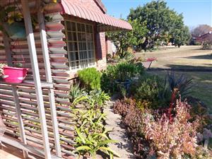 55 years young ...and looking for safety. . .