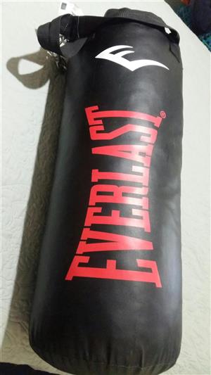 Trojan Performa 300 gym and  Everlast boxing bag  like new (both for)