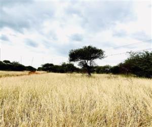 Prime 10-Hectare Investment Farm Near Northam – Ideal for Livestock & Development