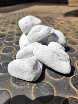 large white zebra pebbles