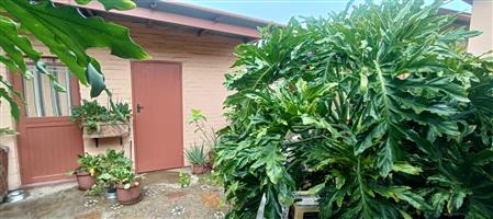 Spacious Home with 2 Flatlets, Big Yard, and Endless features!