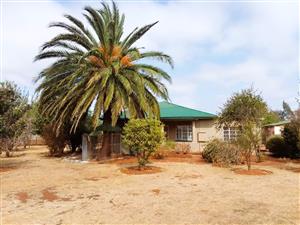 Farm For Sale in Pelzvale