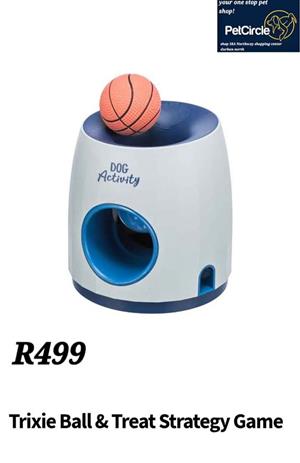 Dog activity ball and treat