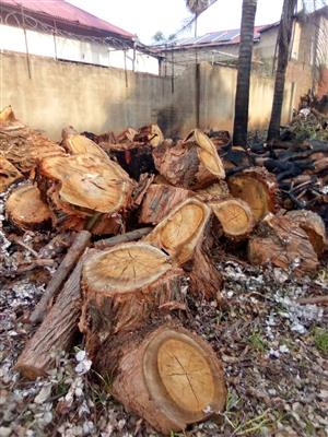 hardwood firewood : bulk sale