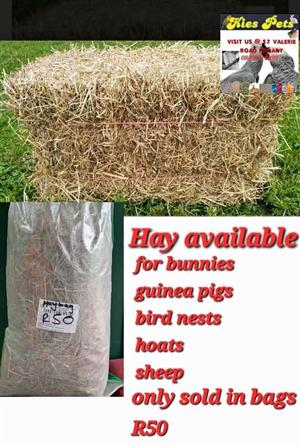 Hay for rabbits and livestock available