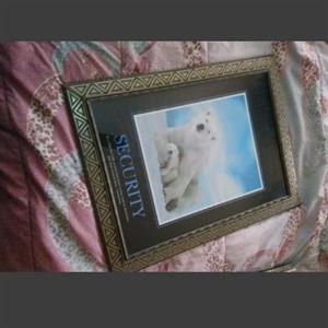 6X BEAUTIFUL NATURE ANIMAL THEMED WALL PICTURE FRAMES 