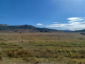 1164 Ha grazing farm for sale in Normandien