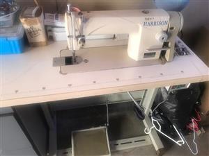 Harrison industrial lockstitch sewing machine : GC8700