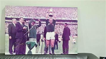 RUGBY WORLD CUP FRAME