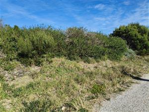 Well-Positioned Vacant Stand