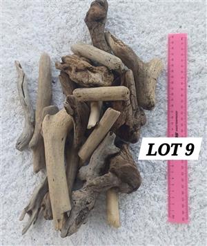 Drift Wood Stumps and Odd Pieces Lot 9