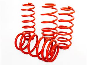 Jamex Lowering Kit for Honda V-Tec