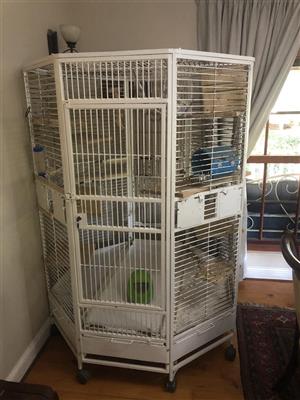 Parrot cage (Large) for sale
