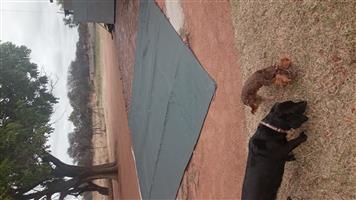 This carport is 4.7 x 5 m x2  heavy duty water proof carport in very good condit
