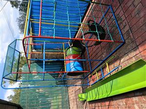 Jungle Gym