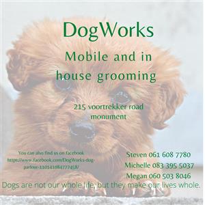 We are a stress free dog parlour. We focuse on kind and safe handling of your ba