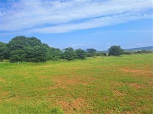 Farm For Sale in Sterkrivier AH