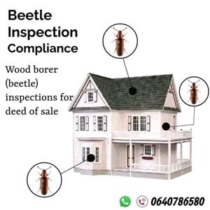 Beetle Compliance COC