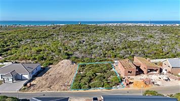 Tranquil Vacant Stand Bordering Green Area