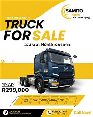 2013 FAW CA series Horse