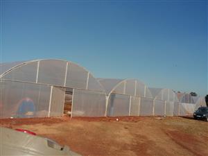 Vegetable Green Houses for Sale