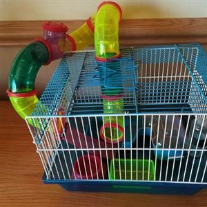 Hamster cages