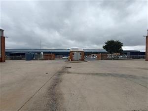 Stormill Warehouse To Let in Celtis Business Park Near Main Reef Road