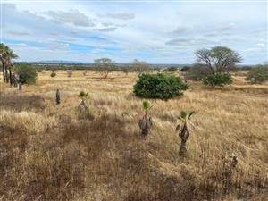 UNVEILING OPPORTUNITY: 23.4 HECTARES OF VACANT FARMLAND FOR SALE