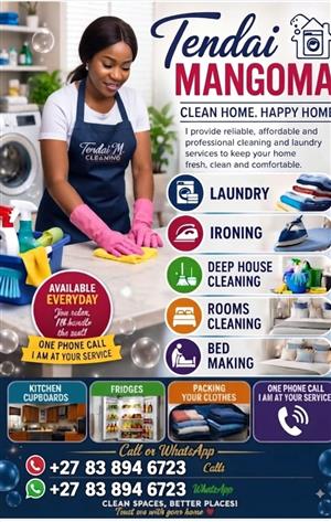 Household cleaning service