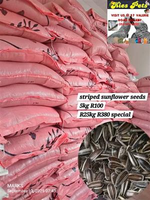 STRIPED SUNFLOWER SEEDS ON SPECIAL