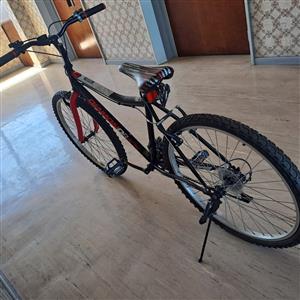 Bicicleta fiorenza rodado 29 hot sale