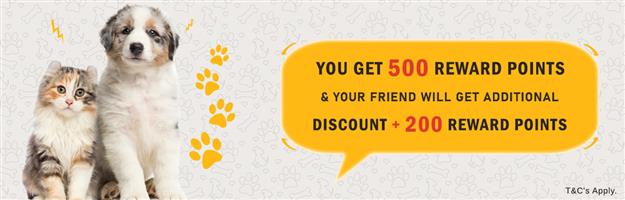 Get Reward Points Every Purchases at BudgetPetSupplies