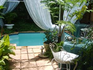 Garden cottage to let