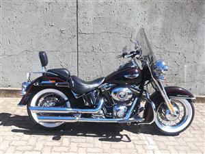 Very Nice, Well Looked After Softail Deluxe
