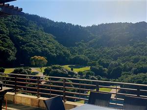 Sunny apartment in Herolds bay