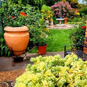 Designer Gardens Landscaping Centurion and surrounding area's 