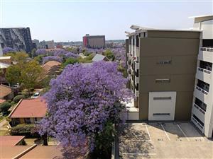 Apartment For Sale in Hatfield