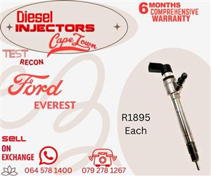 Everest diesel injectors