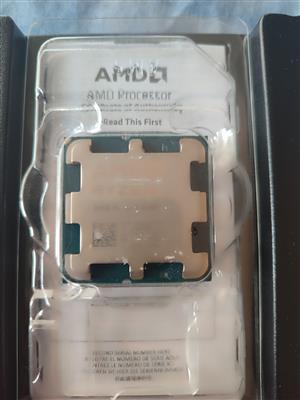 AMD Ryzen 5 8600G