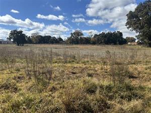 Vacant Land Residential For Sale in Belfast