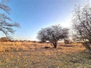 FINAL OPPORTUNITY: LUXURY COMMERCIAL STANDS IN KORO CREEK – YOUR ELITE INVESTMENT AWAITS