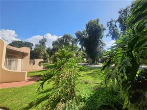 NEW PROPERTY And All Of This Can Be Yours..