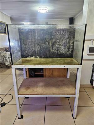 200L Rimless saltwater tank